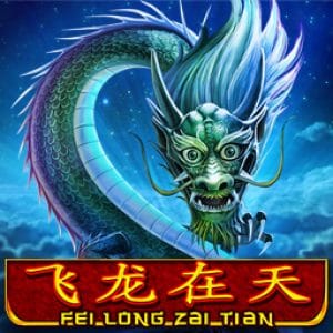 Fei Long Zai Tian™ game cover